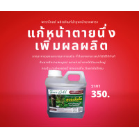 ราคา พาราโกลด์ ปุ๋ยทาบำรุงหน้ายางพารา ยาทาหน้ายางแก่ ยาทาหน้ายางไหล เพิ่มน้ำยาง เพิ่มเปอร์เซ็นต์ รักษาโรคหน้ายางตายนึ่ง 1 ลิตร (17914301176)