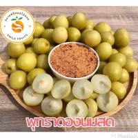ราคา พุทรา พุทราดองนมสด พุทราดอง 500 g แถมฟรีพริกเกลือ (19773358149)