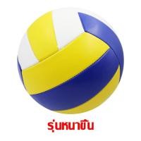 ราคา ลูกบอลเฉพาะฝึกซ้อม Volleyball วอลเลย์บอล ลูกวอลเลย์บอลหนัง PVC บอลเล่ย์บอล ลูกบอลเลย์บอล ลูกวอลเล่ย์บอล วอลเลย์บอลแท้ บอลเล่บอล อุปกรณ์วอลเลย์บอล หนังPU ลูกวอลเลย์บอลเบอร์ เหมาะสำหรับสถานที่ต่างๆ (206