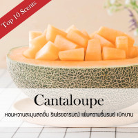 ราคา Phruksa Spa ก้านไม้หอมปรับอากาศ ชนิดเติม เลือกกลิ่นได้ Refill Reed Diffuser 500 ml ก้านไม้หอมกระจายกลิ่น น้ำหอมบ้าน ฟรี ก้านหวาย (629658669)
