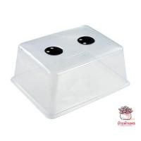 ราคา กล่องเพาะเมล็ด แคคตัส กระบองเพชร cactus succulent (5050812660)