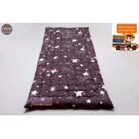 ราคา HOT SALE ที่นอนปิคนิค เบาะรองโซฟา รองเก้าอี้ไม้ ขนาด 70 180 cm นุ่มนอนสบาย (14127501727)