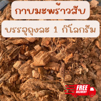 ราคา กาบมะพร้าวสับ กาบมะพร้าวสับเล็ก หนึ่งกระสอบ บรรจุ 1 กิโล มะพร้าวสับ กาบมะพร้าวแห้ง สับเล็ก กาบมะพร้าว ช่วยอุ้มน้ำ รักษาความชื้นในดิน (14023038498)