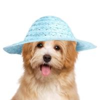ราคา Pet Straw Hat Dog Cat Holiday Costumes Hat Garden Sun Bucket Caps Beach Hat Mini Straw Hat With Elastic Chin Strap For Pets Snake Guinea Pig Cat compatible (20413064065)
