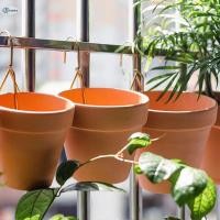 ราคา ตะขอกระถางดอกไม้สำหรับแขวนกลางแจ้งรั้วสวนชาวบ้านรั้ว BF MY ปลูกต้นไม้ตะขอเหล็กสเตนเลสอุปกรณ์ปลูกพืชแบบแขวนสวน B F (20919524285)