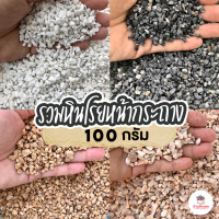 ราคา 100 กรัม รวม หินโรยหน้ากระถาง หินเกล็ดโรยหน้ากระถาง หินเกล็ดโรยกระบองเพชร แคคตัส ไม้อวบน้ำ (8336821062)