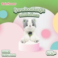 ราคา ตุ๊กตาน้องแมวเปียกปูนตาหวาน นาโนกลิ่นช็อคโกแลตแบรนด์ Rainflower (21307207778)