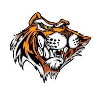 ราคา ตัวรีดติดลายเสื้อ TK 37 ลายเสือ หน้าเสือ ลายติดเสื้อ เท่ห์ๆๆ แผ๋นฟิล์มรีดร้อน (19939604407)