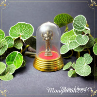 ราคา พระพิฆเนศ พระครอบแก้ว ครอบแก้ว พระพิฆเนศยืนประทานพร รูปหล่อ พระพิฆเนศ ปางยืนประทานพร เนื้อทองเหลือง ขนาด 1 5x4 5 ซม ทองเหลือแท้ (19307548828)