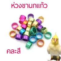 ราคา ห่วงขานกแก้ว ห่วงขานก แหวนนก ของตกแต่งนกแก้ว สีสด สวยงาม 10 15mm สุ่มสี 1ชิ้น นกจาดีน พิราบ เกรย์ อิเล็คตัส กะตั้ว อิเล็คตัส มาคอว์ (14033419399)