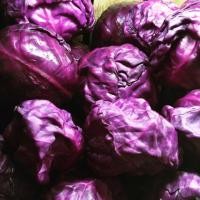ราคา เมล็ดพันธุ์ กะหล่ำปลีม่วง Purple cabbage กะหล่ำปลี 100 เมล็ด 10 แถม 1 คละได้ (21085852148)
