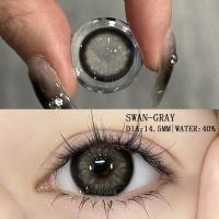 ราคา คอนแทคเลนส์ Eyeshare Gray Wink ขนาดมินิ ขายดี cosplay คอนแทคเลนส์สี (19912066618)