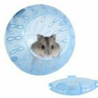 ราคา ลูกบอลหนูแฮมเตอร์ ลูกบอลปล่อยหนูแฮมเตอร์วิ่ง บอลปล่อยแฮมเตอร์วิ่ง จัดส่งคละสี (4512706756)