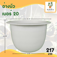 ราคา กระถาง จานรอง กระถางต้นไม้ อ่างบัว กระถางบัว เบอร์ 20 22 นิ้ว สีดำ สีขาว สีอิฐ สีเขียว (20891015978)