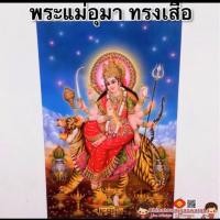 ราคา ภาพมงคล พระแม่ลักษมี ปางยืนประทานเงิน ทอง ขนาดภาพ15x21นิ้ว 38x54cm ภาพฮวงจุ้ย พระแม่อุมา พระวิษณุ ภาพน้ำตก พระพิฆเนศ (14457497524)