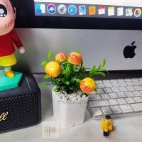 ราคา ต้นไม้ผลไม้มงคล ต้นไม้ปลอม 39 บาท 3 ต้น 100 บาท เสริมโต๊ะทำงาน ต้นส้ม ต้นแอปเปิ้ล ต้นทับทิม (14921489926)