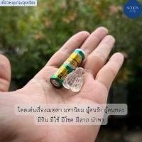 ราคา 2 W 8 แมลงภู่คำหลวง แกะสลักจากเขี้ยวหนุมาน แร่จุยเจีย งานแกะสลักงาน Handmade (21380261197)