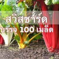 ราคา เมล็ดพันธุ์ บีท สวิสชาร์ด มิกซ์สี เขียว แดง ขาว 100 เมล็ด (15520064756)