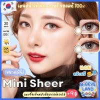 ราคา คอนแทคเลนส์ Mini Sheer Brown Gray Kitty Kawaii ขนาดมินิ (18707865815)