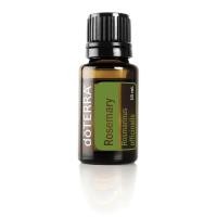 ราคา Rosemary โรสแมรี่ สมุนไพร พร้อมส่ง น้ำมันโรสแมรี่ (19279736825)