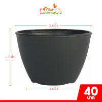 ราคา กระถางต้นไม้ กระถางแคคตัสกลม 2 5 นิ้ว (21382357834)