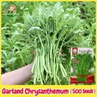 ราคา เมล็ดพันธุ์ ไวล์ดร็อกเก็ต บรรจุ 500 เมล็ด Rocket Seeds Garland Chrysanthemum Organic Vegetable Seeds for Planting ผักสลัดร็อคเกต เมล็ดพันธุ์แท้ OP เมล็ดพันธุ์ผัก เมล็ดผักสวนครัว ผักสวนครัว ผักออร์แกนิ