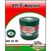 ราคา จาระบี โมลี่แลนด์ Molyland ขนาด 227 G จาระบีเพลาขับลูกหมากลูกปืน (8164198018)