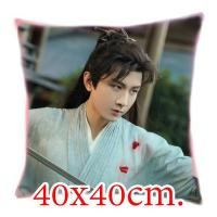 ราคา หมอนอิง ปลอกหมอนอิงผ้ากำมะหยี่ลายเฉิงอี้ Cheng Yi ดาราจีน พิมพ์ลาย2ด้าน ปลอกมีซิปถอดซักได้ (20796351947)