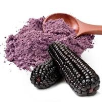 ราคา 20 เมล็ด ข้าวโพด สายพันธุ์นอก ปลูกง่าย โตไว รสชาติอร่อย Corn Seeds สายพันธุ์ ข้าวโพดม่วง PURPLE CORN (21249188076)