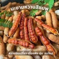 ราคา มะขามหวานสีชมพู 1kg หวานอมเปรี้ยว มะขามใหม่ปี 2567 ต้นฤดู พร้อมส่งตรงจากสวน (12463255992)