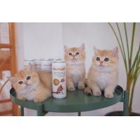 ราคา TINY TYGER GOAT MILK นมแพะสด100 เสริมทอรีน 245 มล (20930863065)