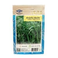 ราคา ผักซอง เมล็ดพันธุ์ พันธุ์ผัก เมล็ดผักบุ้งจีน เรียวไผ่ เจียไต๋ CHINESE CONVOLVULUS (20992295272)