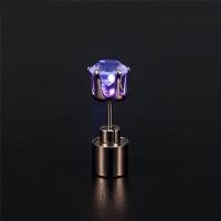 ราคา Ellei ต่างหูพลอยเทียมแท่งพังก์สุดเท่ห์ต่างหูมีไฟ LED สะท้อนแสงสำหรับผู้หญิงต่างหูเม็ดเพชรแบบเรืองแสง (12865746314)