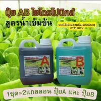 ราคา ปุ๋ย AB ชุด A 1ลิตร B 1ลิตร สารละลาย AB สำหรับปลูกผักไฮโดรโปนิกส์ แพ็คคู่AB (7536950591)
