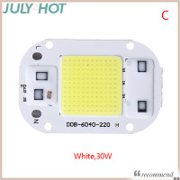 ราคา JULYHOT เชิงเส้นไดรฟ์ฟรีแหล่งกำเนิดแสงซังอัจฉริยะชิป LED 20W 30W 50W AC 220V 220V แรงดันสูงลูกปัดหลอดไฟ LED (20400576441)