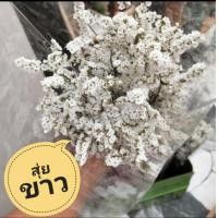 ราคา ช่อดอกไม้แห้ง ช่อดอกสุ่ยสีขาว สุ่ยแห้ง ช่อสุ่ยแห้ง (15661098416)