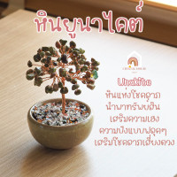 ราคา ต้นไม้ หินมงคล เสริม ฮวงจุ้ย โชคลาภ ร่ำรวย ความสูง 11 CM ของมงคล ของขวัญ ต้นไม้มงคล อเมทิสต์ โรสควอตซ์ ต้นไม้ปลอม (20942835515)