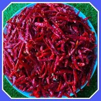 ราคา พริกแห้งจินดา 500 กรัม ครึ่งโล 120 บาท คัดพิเศษ สวยๆ แบบเด็ดก้าน (20812472009)