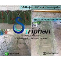 ราคา ไอ้โง่ดักปลา ดักกุ้ง ยาว 2 เมตร งา 4 ช่อง (21169298759)