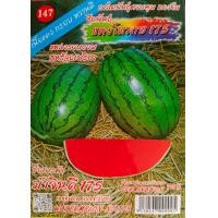 ราคา เมล็ดพันธุ์ แตงโม ลาย 175 1 กรัม จากอเมริกา เนื้อแดง กรอบ หวานดี ตราม้ารุ้ง แตงโม เมล็ดแตงโม (21042437323)