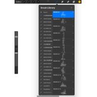 ราคา Procreate brush H399 情侣动作 奇迹素材 แถมไฟล์Photoshop (20925568855)