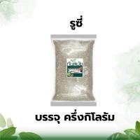 ราคา คัดเกรดพิศษ หญ้ารูซี่ เมล็ดหญ้ารูซี่ บรรจุ 500กรัม และ 1กิโลกรัม หญ้ารูซี่ สำหรับเลี้ยงสัตว์ ขึ้นดีมาก หญ้าสำหรับสัตว์เลี้ยง พันธุ์หญ้าอย่างดี หญ้าพันธุ์ (6150396815)