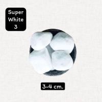 ราคา หินสีขาว หินหิมะ 1kg หินโรยกระถาง หินโรยพื้น หินแต่งสวน หินตู้ปลา (20866038410)