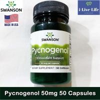 ราคา เปลือกสนฝรั่งเศสสกัด Pycnogenol 50mg 50 Capsules Swanson สารสกัดเปลือกสนมาริไทม์ จากประเทศฝรั่งเศส Antioxidant Support (5413218264)