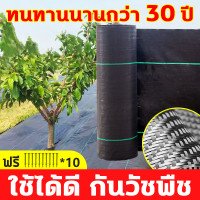 ราคา พลาสติกคลุมดิน 2x10 เมตร ผ้าคลุมวัชพืช ผ้ายางคุมวัชพืช ผ้าคลุมกัน หญ้า ผ้าคลุมหญ้าตาย พลาสติกคลุมหญ้า คลุมวัชพืช พสาสติกคลุมดิน ผ้าคลุมดิน คลุมดินกันหญ้า ผ้ากันวัชพืช พลาสติกคลุมวัชพืช อุปกรณ์ทำสวน คล