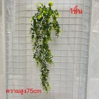ราคา พร้อมส่ง เขากวาง ยูคา เฟิร์น โปทอส รวมต้นไม้ใบไม้ประดับช่อแขวน ต้นไม้ประดิษฐ์ สวยงามเสมือนจริง ความยาว (21089385953)