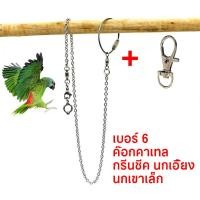 ราคา พร้อมส่ง โซ่คล้องขานก สายจูงนก โซ่นกแก้ว โซ่จูงนก โซ่สำหรับนกแก้ว ห่วงเปิดขานก ห่วงขานก ยาว 80 ซม สแตนเลส (17140812822)