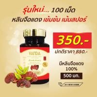 ราคา หลินจือแดง 5 กป เห็ดหลินจือแดง Vanda อาหารเสริมบำรุงร่างกาย อาหารเสริมเพื่อสุขภาพ หลินจือแดง หลินจือ (19417855578)