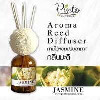 ราคา PINTONATURL Aromatic Reed Diffuser Jasmine ก้านไม้หอมปรับอากาศ กลิ่นมะลิ ขนาด 50ml เเละ 100ml (8350231083)