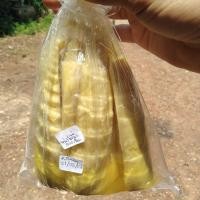 ราคา หน่อไม้อัด หน่อไม้แปรรูป หน่อไม้นึ่ง หน่อไม้นึ่งแบบหน่อ บรรจุภัณฑ์500กรัม (20108553873)